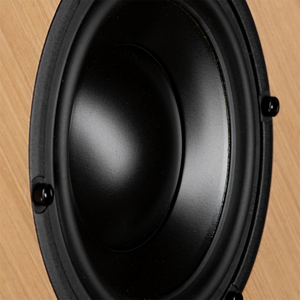 Macro view of an Alta Audio woofer built on a titanium former